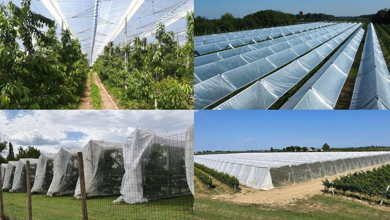 FRUTTICOLTURA PROTETTA MACFRUT 2021 (1)-C